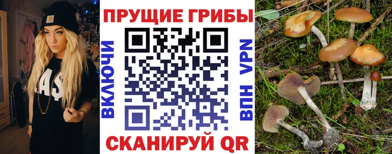 Галлюциногенные грибы GOLDEN TEACHER  цены наркотик  кракен tor  Югорск 