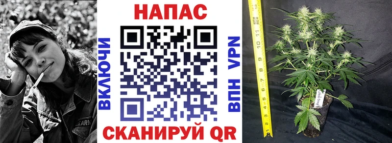 как найти закладки  Югорск  Канабис план 